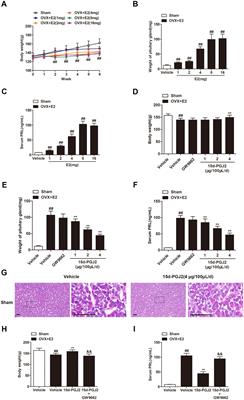 Intranasal 15d-PGJ2 inhibits the growth of rat lactotroph pituitary neuroendocrine tumors by inducing PPARγ-dependent apoptotic and autophagic cell death
